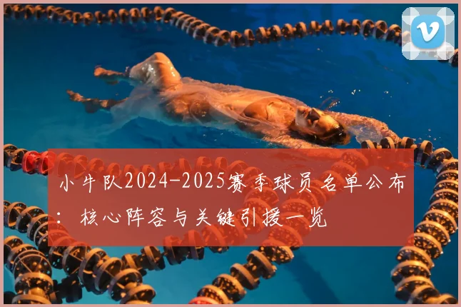 小牛队2024-2025赛季球员名单公布:核心阵容与关键引援一览